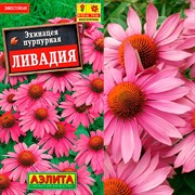 Эхинацея Ливадия пурпурная - фото 67460