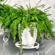 Подставка напольная для цветов белая на колёсиках диаметр 30см 21-006W - фото 67481