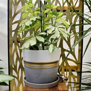 Горшок Гренландия 3,8л белый конус №4 - фото 67510