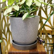 Горшок Лакшери 4,7л серый платан №4 - фото 67578