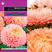 Астра Хризантелла Жемчужный восторг 0,05гр - фото 67641