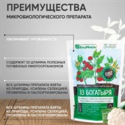 33 Богатыря гранулированный микробиологический препарат 0,8кг - фото 67770 33 Богатыря гранулированный микробиологический препарат 0,8кг - фото 67770