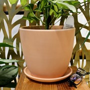 Горшок Терракота 2,3л крокус №3 - фото 67789