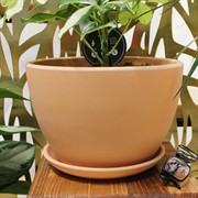 Горшок Терракота 3,2л орех №4 - фото 67796