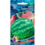 Семена Арбуз Сибирский гигант Уральский дачник - фото 67849