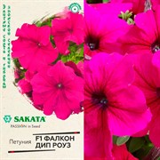 Петуния Фалкон Дип роуз 5шт - фото 67858