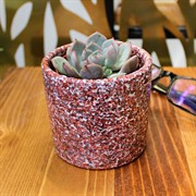 Кашпо Сахара 0,15л бордовый тубус мини - фото 67860