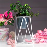 Подставка на подоконник на 1 цветок Лофт белая металл 66-603-W - фото 67869