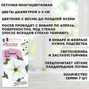 Петуния Пендолино белая 7шт - фото 67895