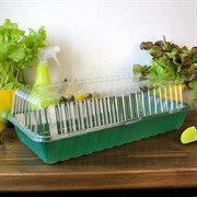 Парник на подоконник 3 места - фото 67900