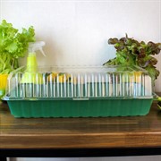 Парник на подоконник 3 места - фото 67901