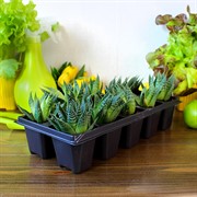 Кассета для рассады 10 ячеек - фото 67917