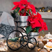 Подставка для цветов на подоконник Велосипед под два кашпо 41-041B - фото 67953
