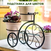 Подставка для цветов на подоконник Велосипед под два кашпо 41-041B - фото 67954