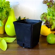 Горшок для рассады 11х11х11 1л твёрдый - фото 67966