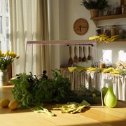 Подставка для фитосветильника линейного металлическая 150-001 - фото 67972