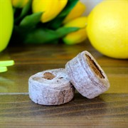 Таблетки Джифи-7С (кокос) 35мм - фото 68001