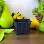 Горшок для рассады 9х9х6,5 - фото 68011