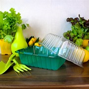 Парник на подоконник 1 место - фото 68014