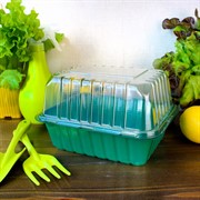 Парник на подоконник 1 место - фото 68015