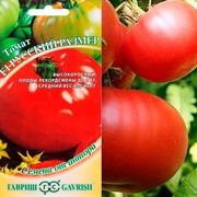 Томат Русский размер 12шт - фото 68024