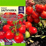 Томат Запуняка 0,05гр ранний - фото 68284
