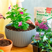 Удобрение Биостик для цветов в палочках 250г - фото 68291