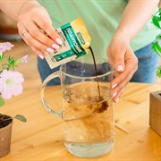 Плантоник 30мл на основе экстракта водорослей - фото 68304