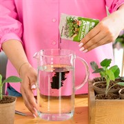 Удобрение БиоМастер для расссады 10мл - фото 68312