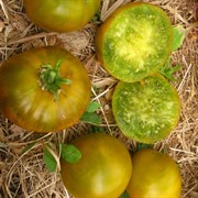 Томат Ирландский ликёр F1 - фото 68332