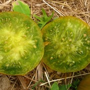 Томат Ирландский ликёр F1 - фото 68333