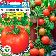 Томат Монгольский карлик 20шт - фото 68407