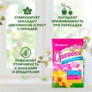 Стимулятор цветения БиоМастер Орхидея 2 мл - фото 68417