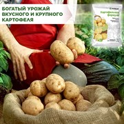 Удобрение БиоМастер Картофельная формула 1кг - фото 68423
