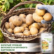 Удобрение БиоМастер Картофельная формула 2,5кг - фото 68431