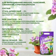 Набор компонентов БиоМастер для Фиалок 2л (15) - фото 68433