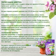 Набор компонентов БиоМастер для Фиалок 2л (15) - фото 68434