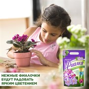 Набор компонентов БиоМастер для Фиалок 2л (15) - фото 68435