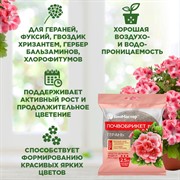 Почвобрикет Герань 2,5л круглый - фото 68445