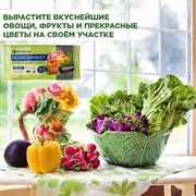 Почвобрикет Универсальный 10л - фото 68463