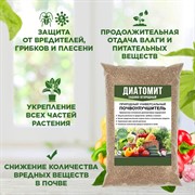 Диатомит садовый почвоулучшитель природный кизельгур Био крошка 1л - фото 68469
