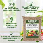 Диатомит садовый почвоулучшитель природный кизельгур Био крошка 3л - фото 68473