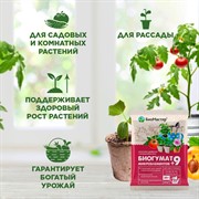 Удобрение БиоМастер Биогумат + 9 микроэлементов 20г - фото 68477