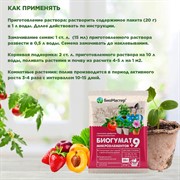 Удобрение БиоМастер Биогумат + 9 микроэлементов 20г - фото 68478