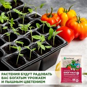 Удобрение БиоМастер Биогумат + 9 микроэлементов 20г - фото 68479
