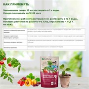 Удобрение БиоМастер Биогумат + 9 микроэлементов 0,35л (25) - фото 68498