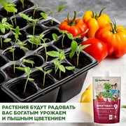 Удобрение БиоМастер Биогумат + 9 микроэлементов 0,35л (25) - фото 68499