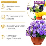 Удобрение БОНА ФОРТЕ универсальное 10мл здоровье - фото 68511