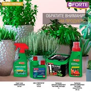 Удобрение БОНА ФОРТЕ универсальное 10мл здоровье - фото 68514