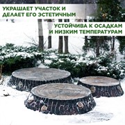 Крышка люка декоративная Пень дубовый на 100 см U09108 - фото 68561